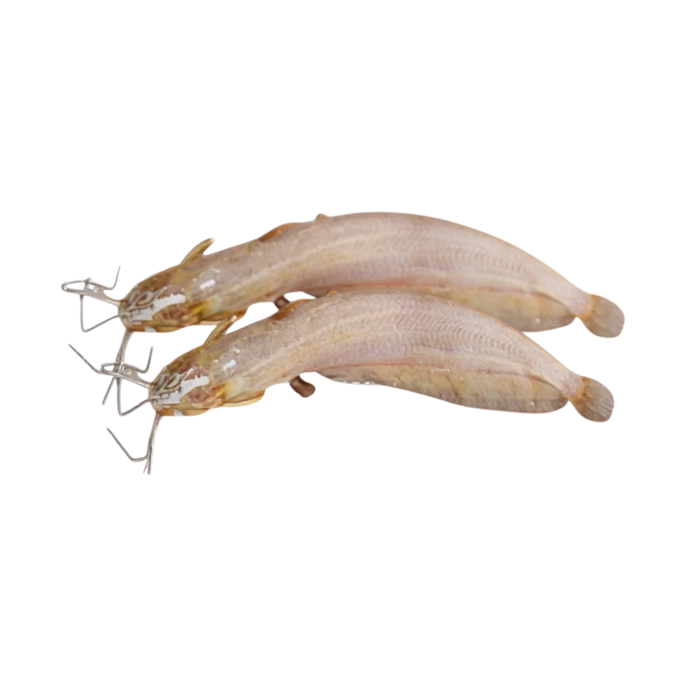 Shing Fish 500G